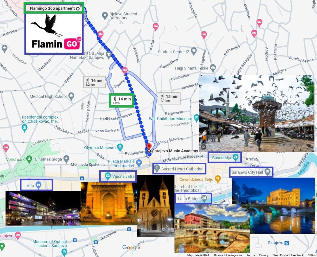 Flamingo 365 - Near City Center With Free Parking SJJ Eksteriør billede